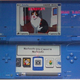 Illustration for article titled Huge Lego DSi Takes Picture of Huge Lego Cat